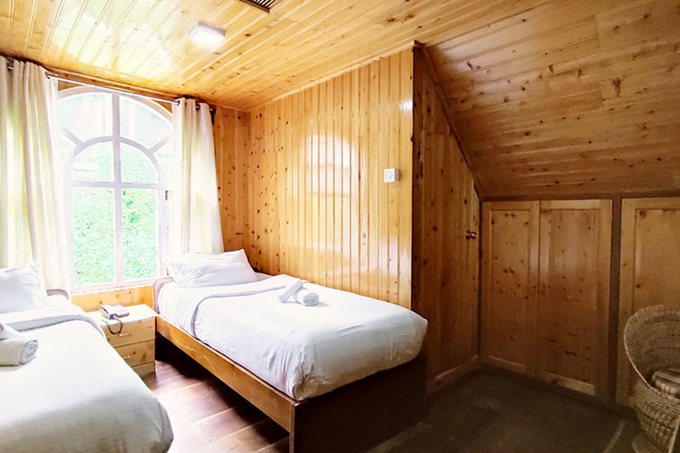 Deluxe twin bed attic Room 